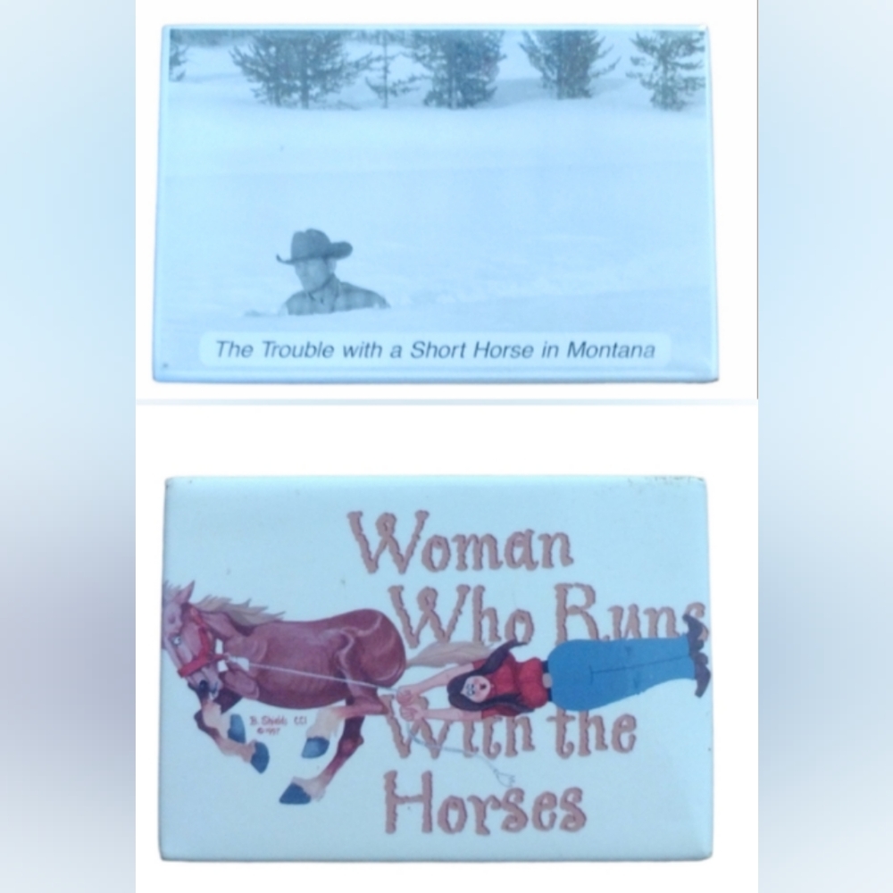 BOGO: Funny Western Horse Cowboy Magnets